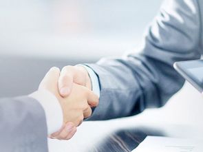 新市區(qū)公司注冊與商務(wù)信息咨詢 一站式服務(wù)助力企業(yè)啟航