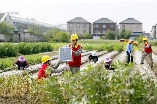 亮故事 智慧農業搭上電力快車