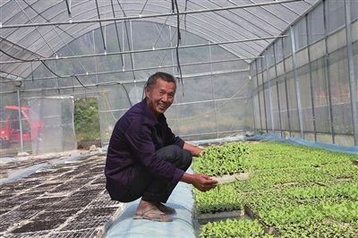 記者看到的是一派繁忙景象,當地群眾在蔬菜幼苗培育大棚里翻地,播種