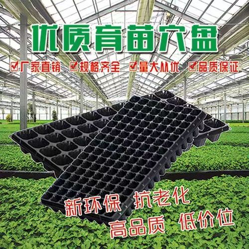 加厚草莓專用多肉月季瓜果扦插盤蔬菜培育穴盤育苗托盤育苗營養杯