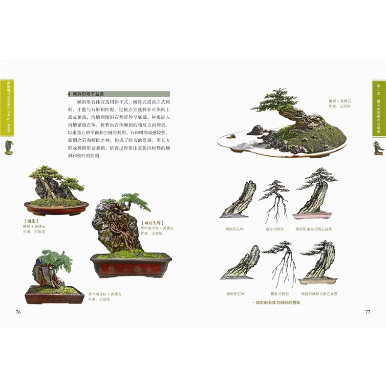 圖解附石盆景+山水盆景+樹木盆景制作與養(yǎng)護(彩圖版) 盆景制作教材入門盆景書籍圖書大全盆栽造型設(shè)計圖盆景造型設(shè)計書 入門 教程
