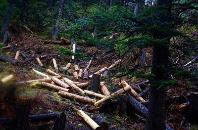 腳下地獄,心在天堂&hellip;亞丁神山轉(zhuǎn)拜心路歷程