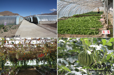 網(wǎng)路媒體走進(jìn)日喀則 感受藏民經(jīng)濟(jì)飛躍發(fā)展