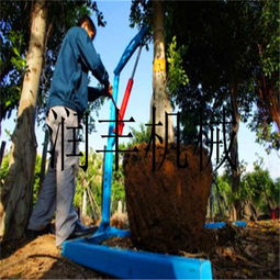 熱銷挖樹機(jī) 大馬力挖樹機(jī)型號 濟(jì)寧挖樹機(jī)圖片