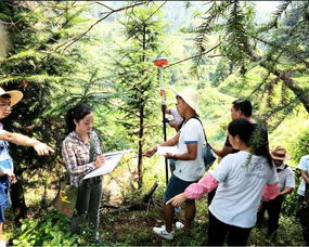 榕江縣人民政府 部門動態(tài) 榕江縣樂里鎮(zhèn)林業(yè)站認(rèn)真完成國道211線改擴(kuò)建工程征用林木測量登記工作