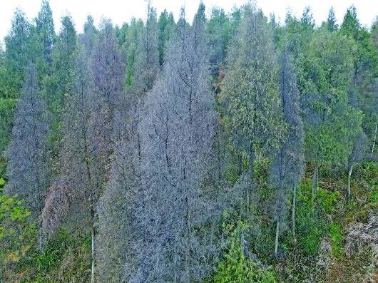 貴州臺江經(jīng)開區(qū)回應(yīng) 整改3年污染不減反增 相關(guān)企業(yè)停產(chǎn)