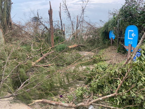 海南華隆銅鼓嶺旅控公司捐款200萬元用于文昌災后重建