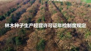 林木種子生產(chǎn)經(jīng)營許可證年檢制度規(guī)定