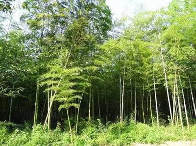 小長假最全馬鞍山出游攻略,爬山、溫泉、公園&hellip;想怎么嗨就怎么嗨!