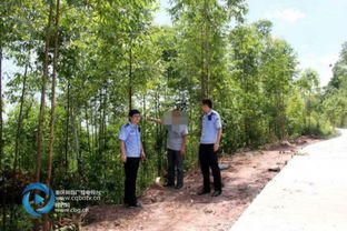 濫伐林木5千余立方米 三男子 栽 了