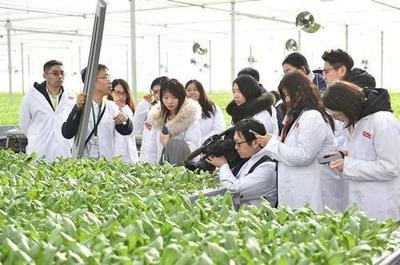 劉強(qiáng)東終于出手!京東新技術(shù)的誕生,或?qū)㈩嵏矀鹘y(tǒng)蔬菜種植