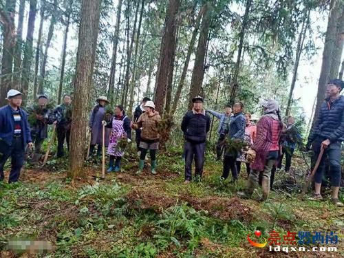 普安檢察機關依法公訴濫伐林木案，督促補植復綠修復生態